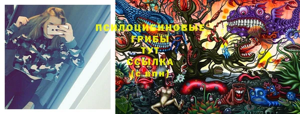 ешки Богородицк
