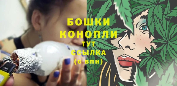 стафф Богородск