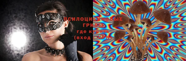стафф Богородск