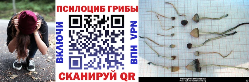 Галлюциногенные грибы мицелий  Ессентуки 